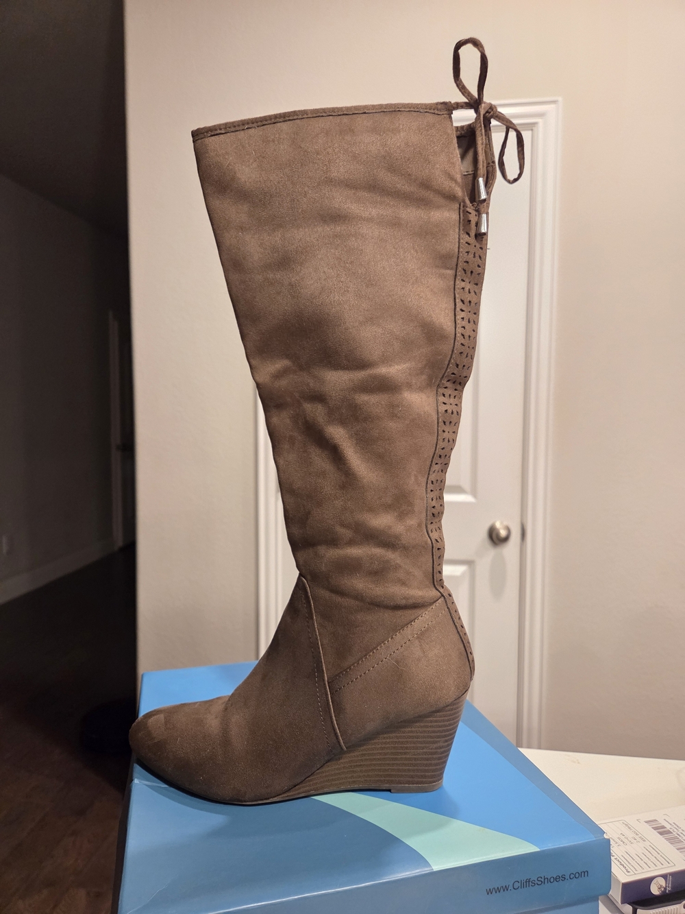 Women's Suede Wedge Knee-High Boot